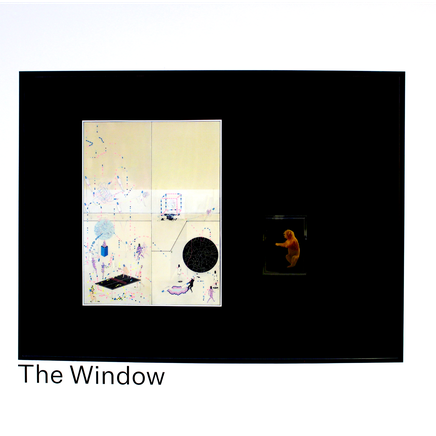 What's in The Window