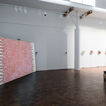 Installation view, Arlo Mountford: Deep Revolt, 2018