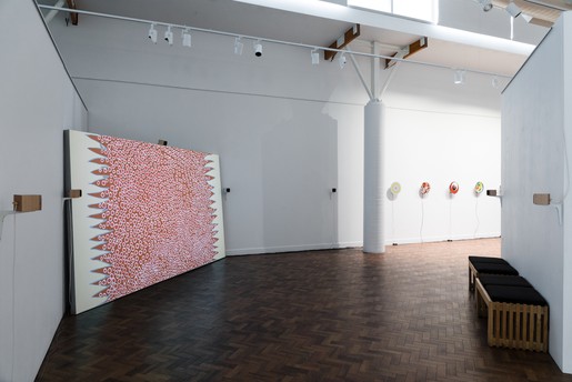 Installation view, Arlo Mountford: Deep Revolt, 2018