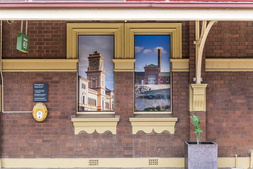 Mim Stirling, The Goulburn Icons Project, 2017. Image Ashley Mackevicius.