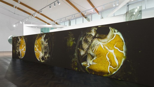 Installation view, Mel O'Callaghan 'Centre of the Centre' 16 apr. - 12 jun. 2021. Image Silversalt Photography