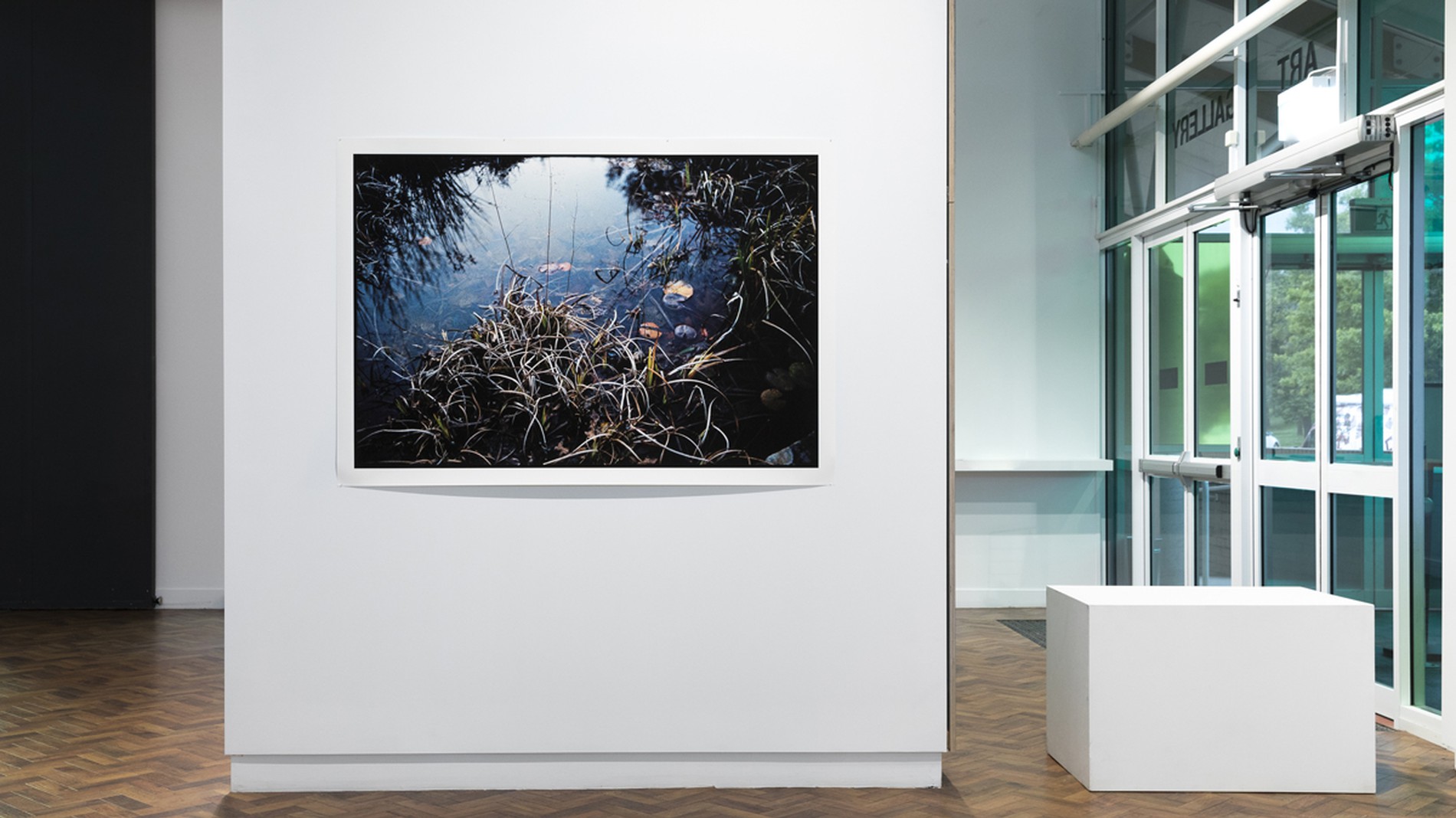 David Ryle Gallery David Ryrie | Goulburn Regional Art Gallery