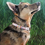 Pet portraits with Sally