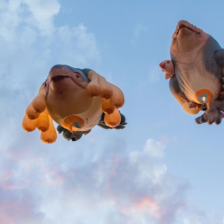 Skywhales Across Australia