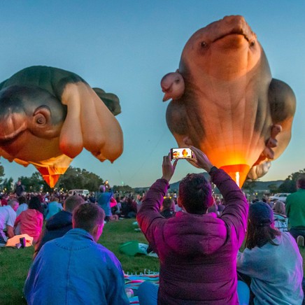 Skywhales Across Australia: Art Steps with Patricia Piccinini