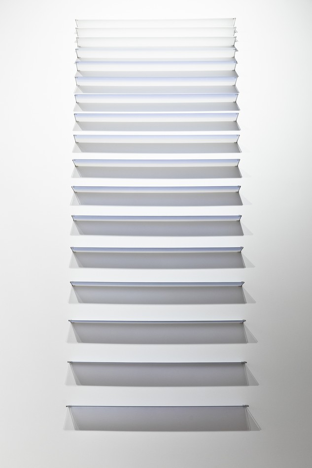 Image object (1291)