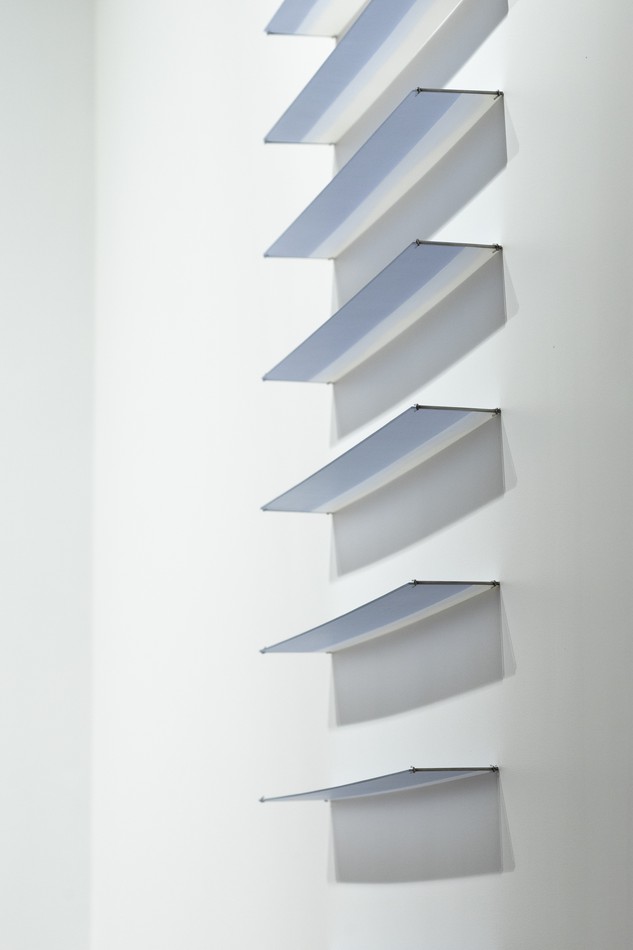 Image object (1293)