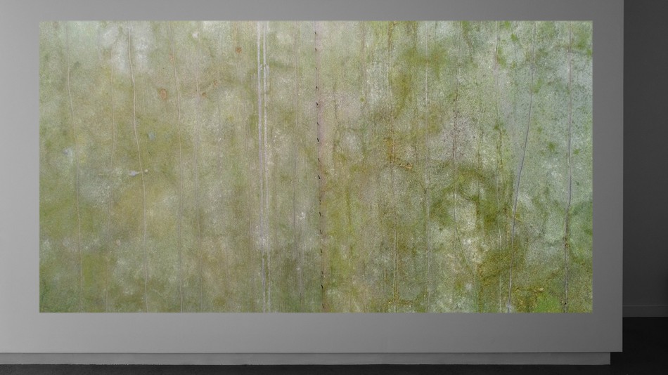 Image object (1337)