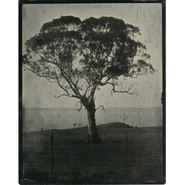 Opening Brenda L Croft , Prue Hazelgrove & Bridget Baskerville + artist tour