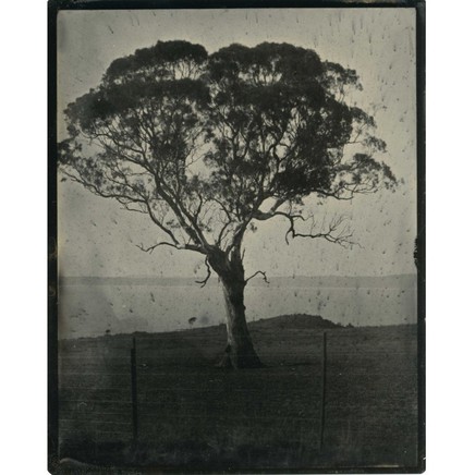 Opening Brenda L Croft , Prue Hazelgrove & Bridget Baskerville + artist tour