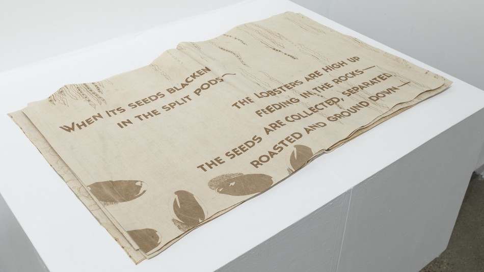 Image object (1493)