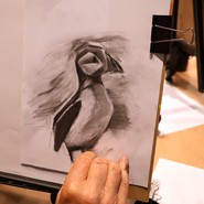 Drawing Essentials